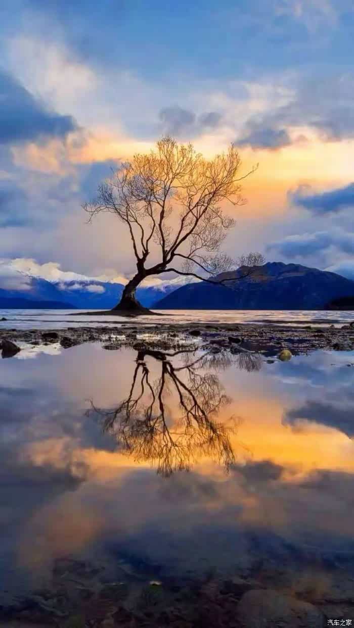 粘贴美丽的心情复制醉人的风景打印甜美的笑容