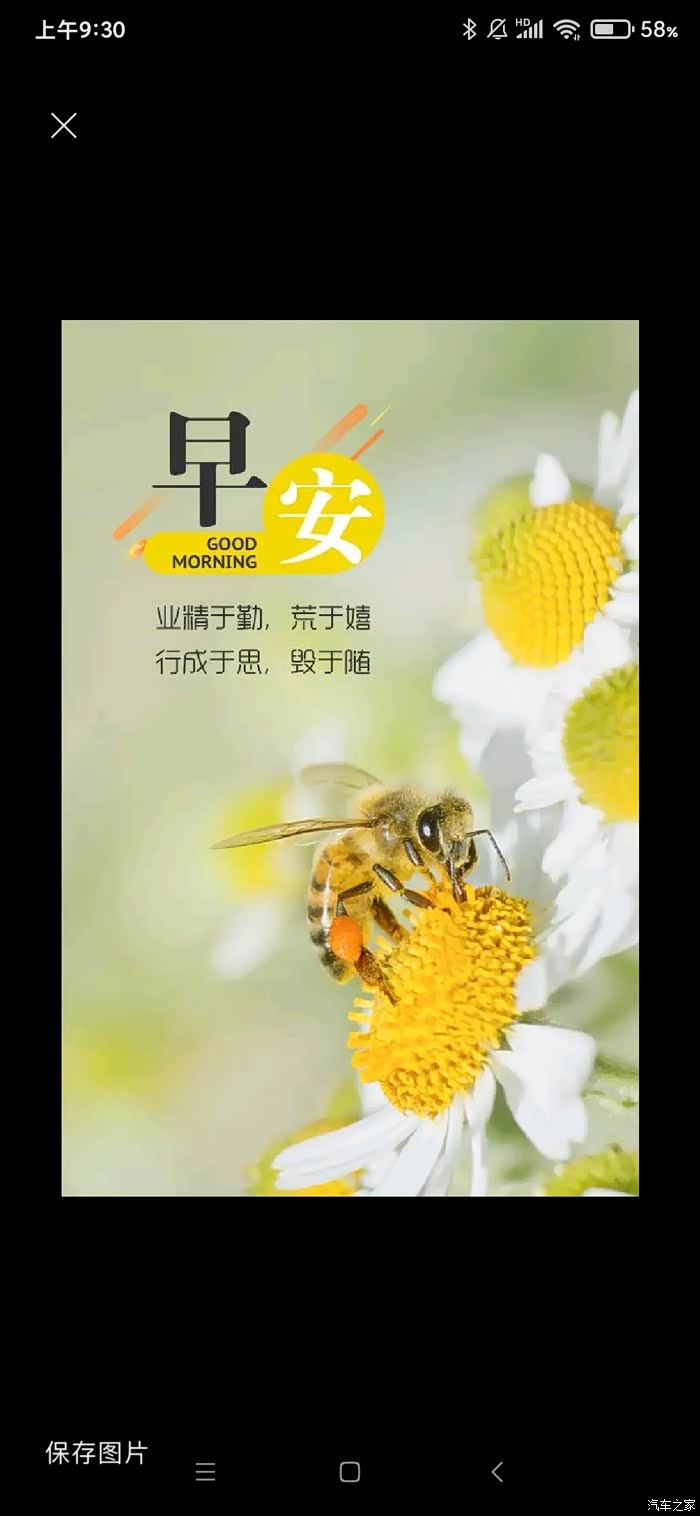 周六早呀新的一天愿你有始料未及的好运气