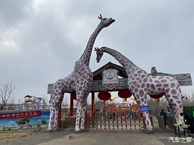 济宁周边动物园图片