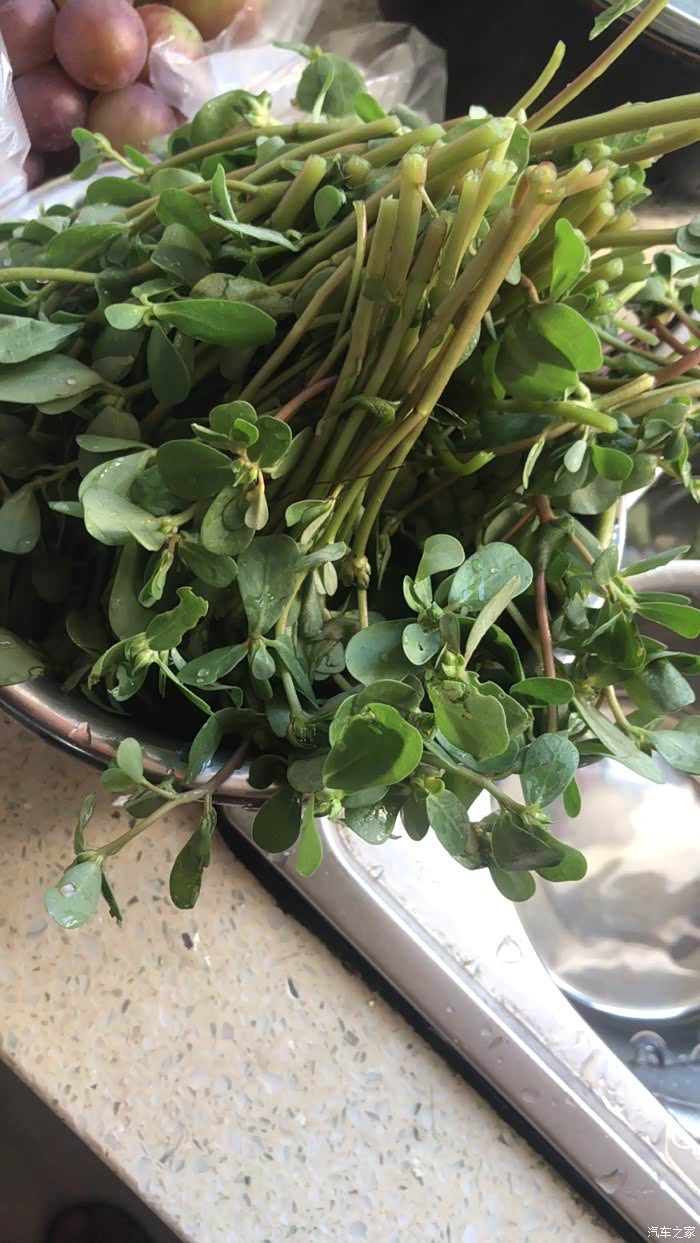今天买菜的时候买的,第一次看到这种菜,叫不出名字,然而朋友说这种是