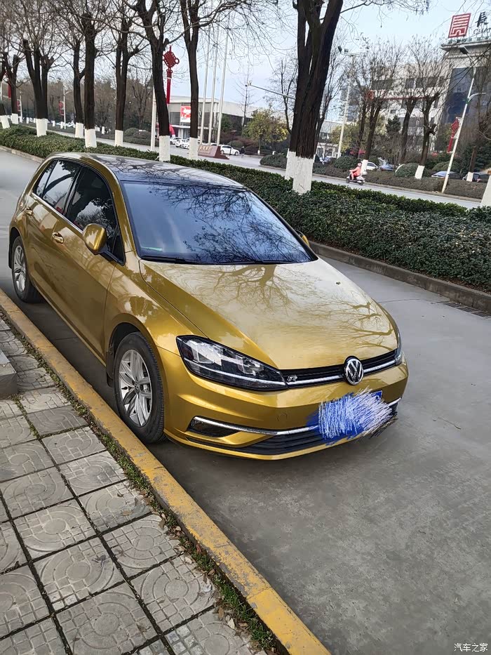 感觉金色的高尔夫好看