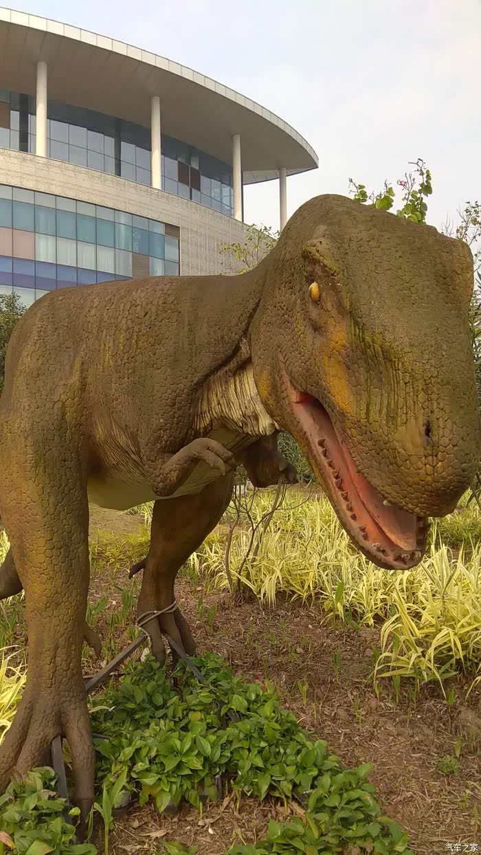 依然看不出是什么是用什么材料做恐龙,逼真度 10.