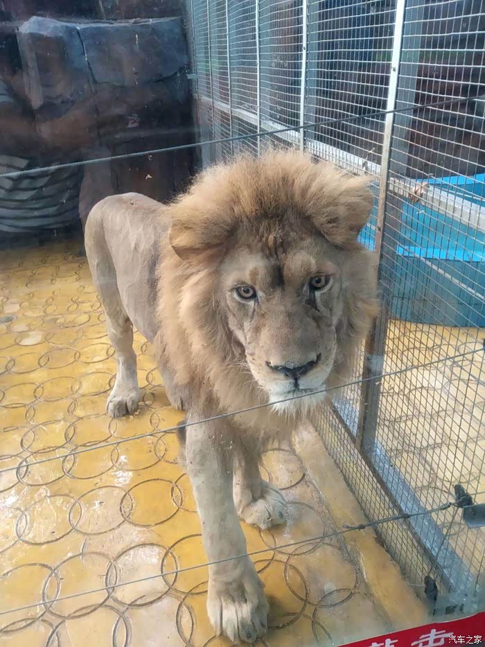 我们一祺湛江游第二站——寸金动物园