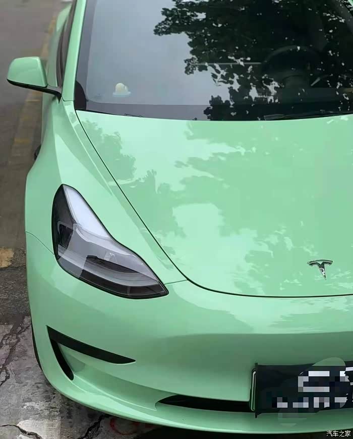 【图】特斯拉model 3牛油果绿还挺好看_model 3论坛_汽车之家论坛