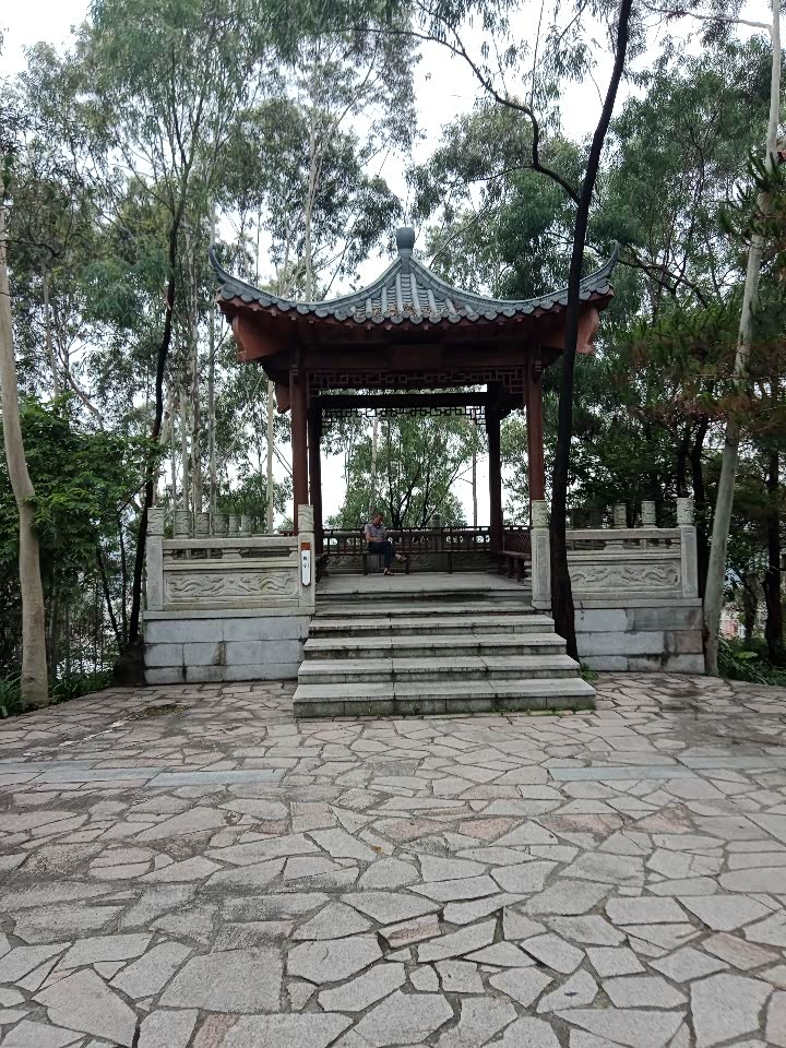 【图】雨中逸起游寮步香市公园_逸动论坛_汽车之家论坛