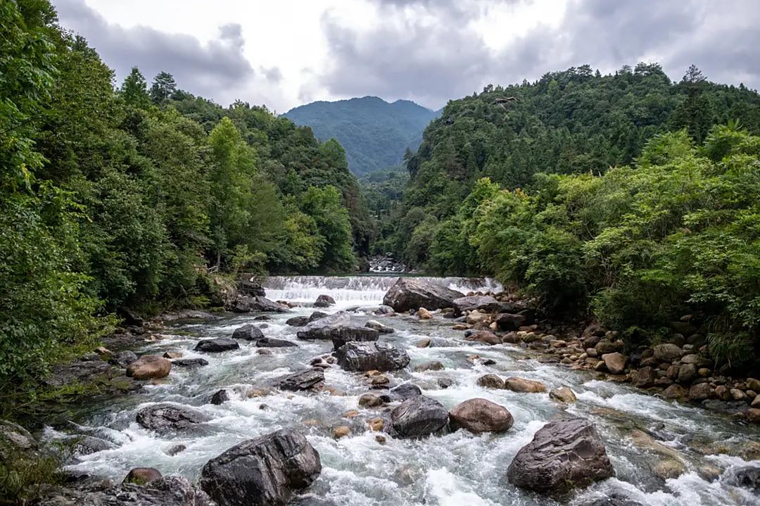 牯牛降,坐落在安徽石臺縣與祁門縣交界地帶,距離石臺縣城很近