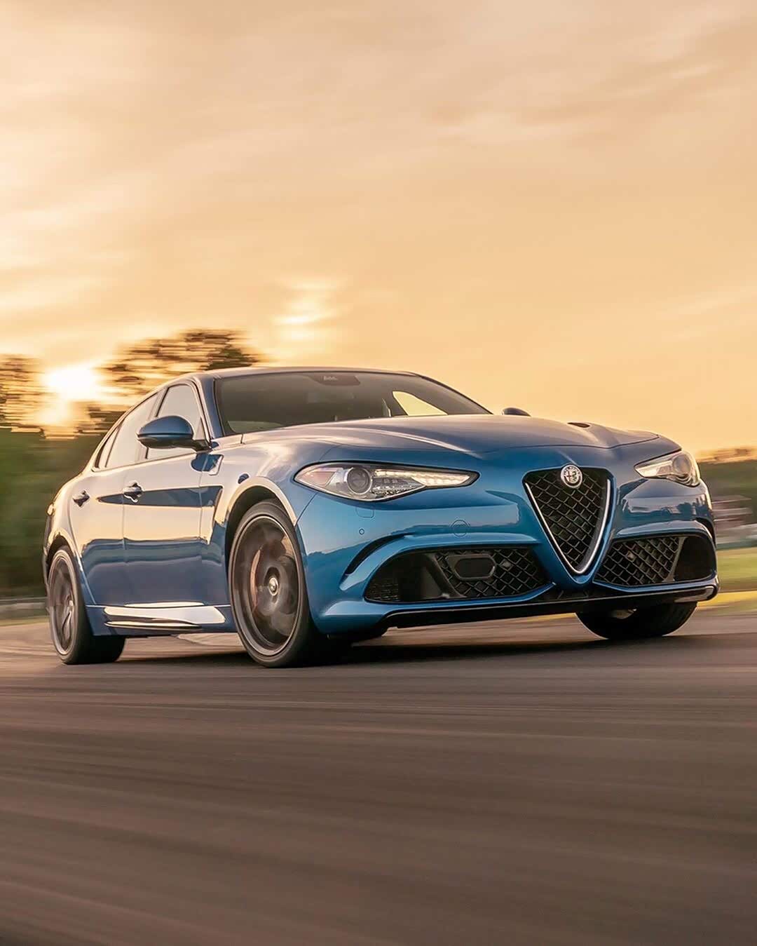 跳跃的蓝色精灵,阿尔法罗密欧 阿尔法罗密欧论坛 汽车之家论坛