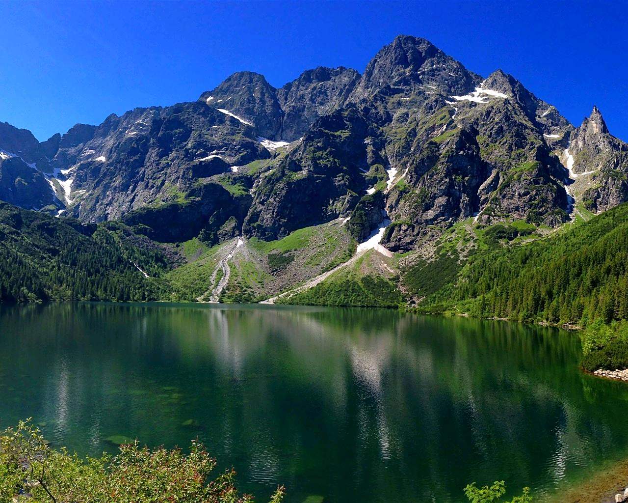 高山仰止,景行行止.雖不能至,心嚮往之.