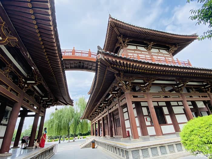 年末福利大反馈青龙寺