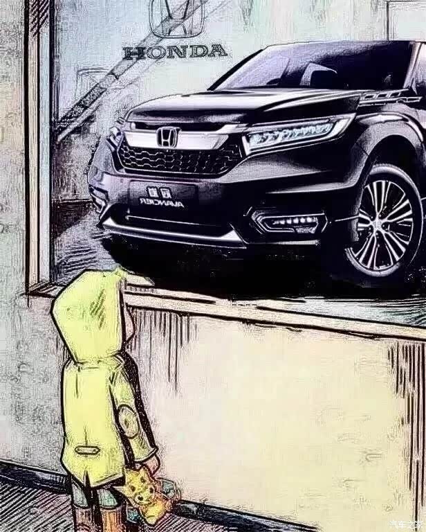 有没有像这样的冠道的图片?
