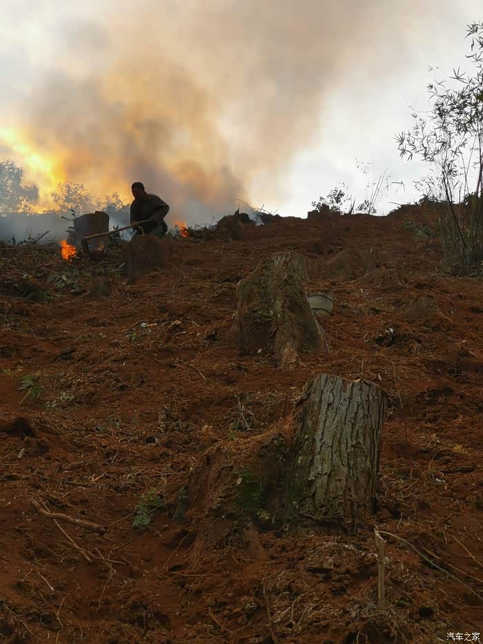 回家带娃去"烧山"