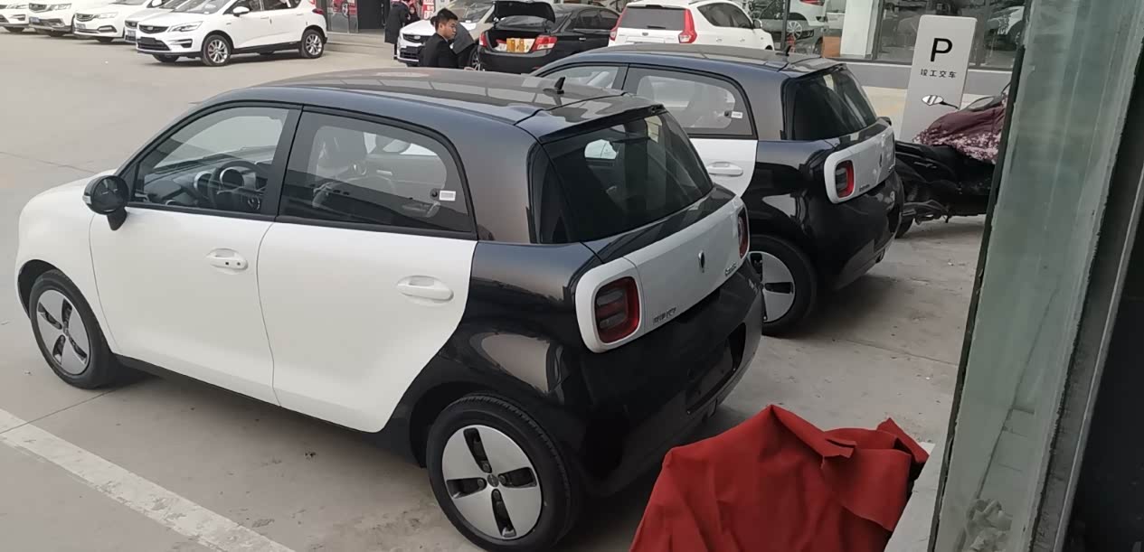 秒提黑白双色欧拉r1