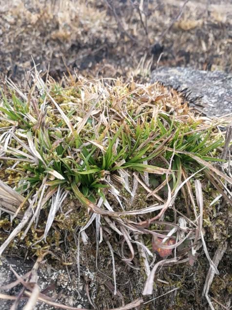 大年初一荒郊野外爬爬随拍