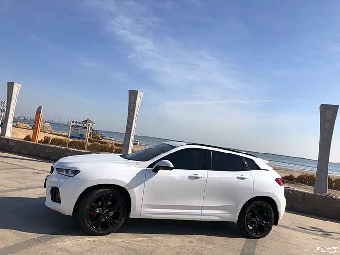 【无悔的抉择】一路相随,感谢有你相伴WEY--