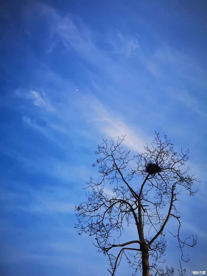 冬去春回,温暖在这个特别的春天