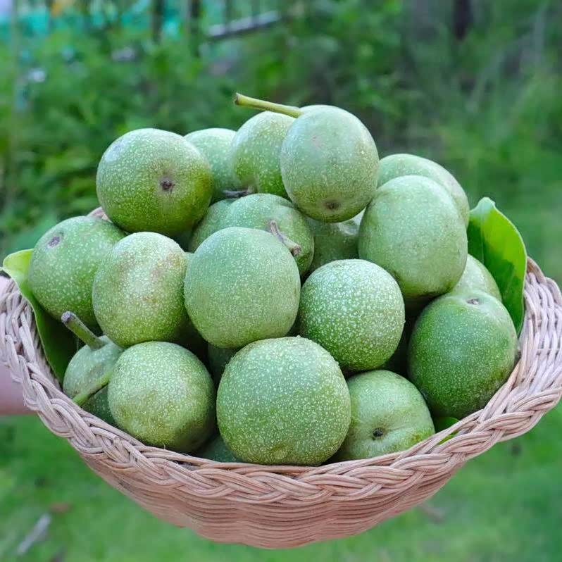 绿皮核桃可以吃了,都是新鲜的.