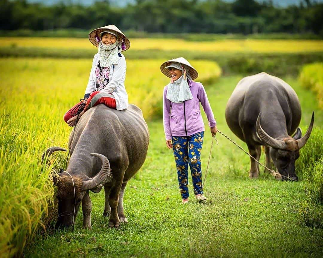 越南人生活的一角