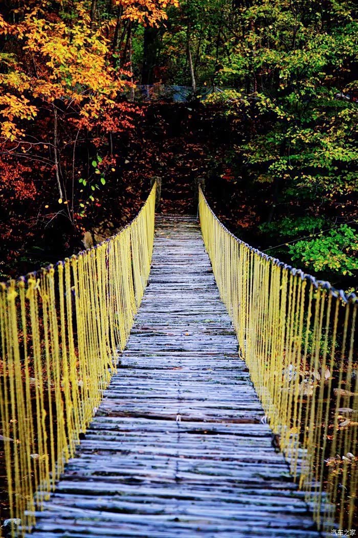 申精!枫香夹岸笑靥绯,带你去看层林尽染