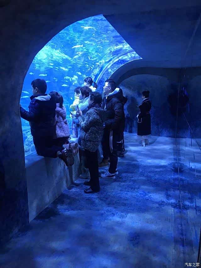 【图】【告别2021】宁夏幻太奇海洋公园_江西论坛_汽车之家论坛