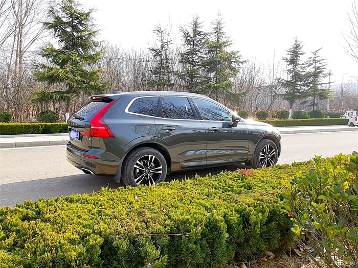 认证车主年终福利松树下的松林灰xc60美图秀