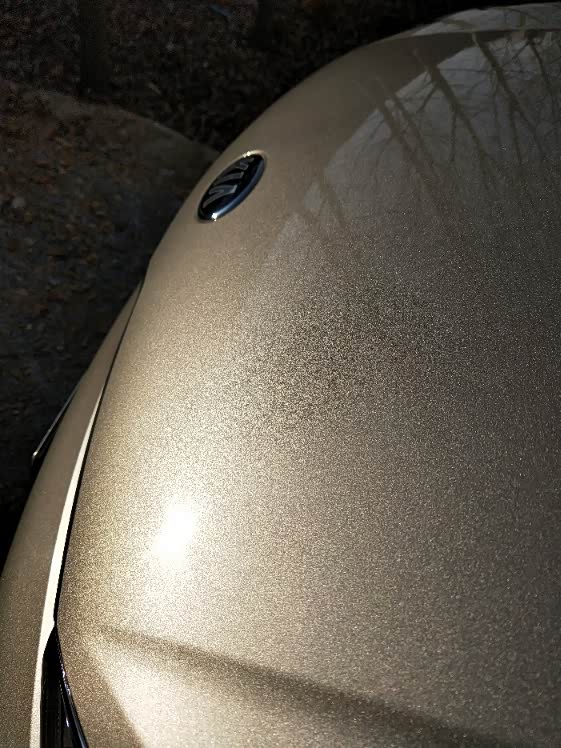 【图】这是买米色的原因,阳光下洒洒金光_焕驰论坛_汽车之家论坛