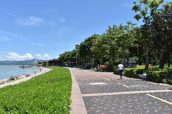 游观桥公园美景赏雄伟跨海大桥