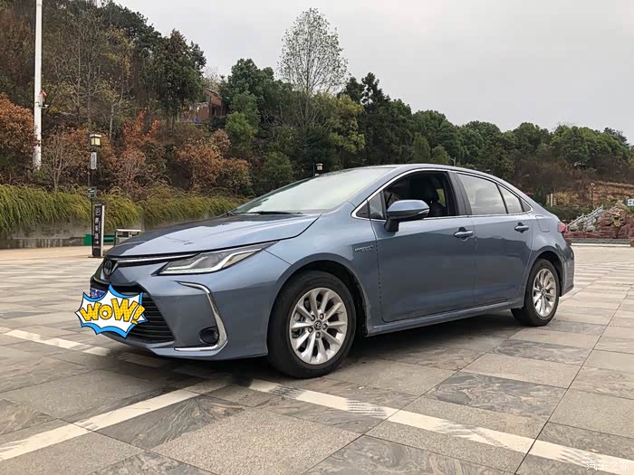 天青石金属色的卡罗拉双擎一股清纯风