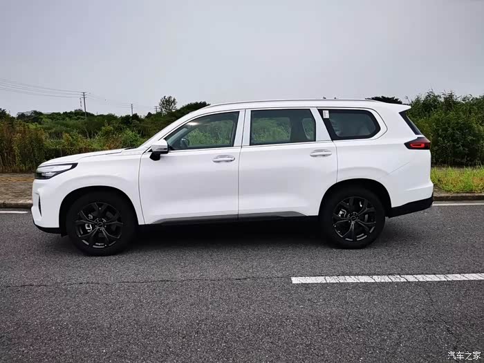 星途揽月400t白色款的外观为什么搜不到