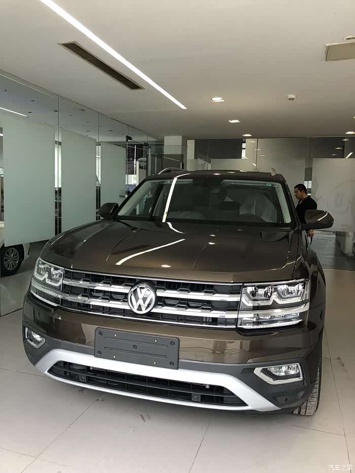各位大神谁有途昂峻岭棕的图片