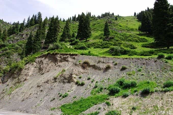恢复起来不是一件容易事,足以看出天山山脉植被的脆弱性
