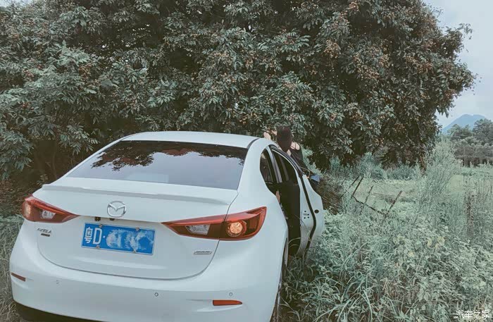 人马合一的白马,有趣的灵魂美丽的面孔,zoom (求精)