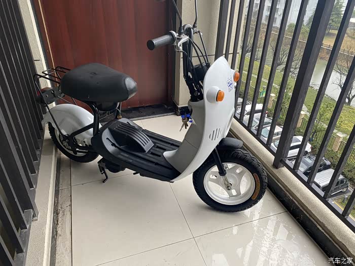 铃木蛋蛋,铃木摩托车