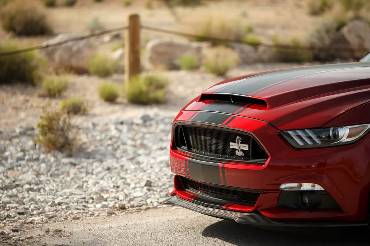 我不是野马我是眼镜蛇 福特谢尔比改装