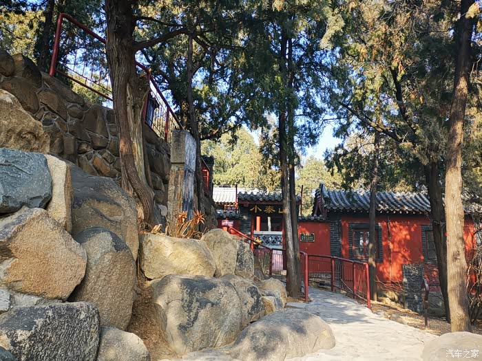 【你好2021】沃沃带我游泰安之小泰山