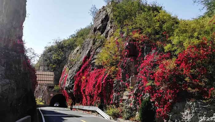 最美省道公路平涉线