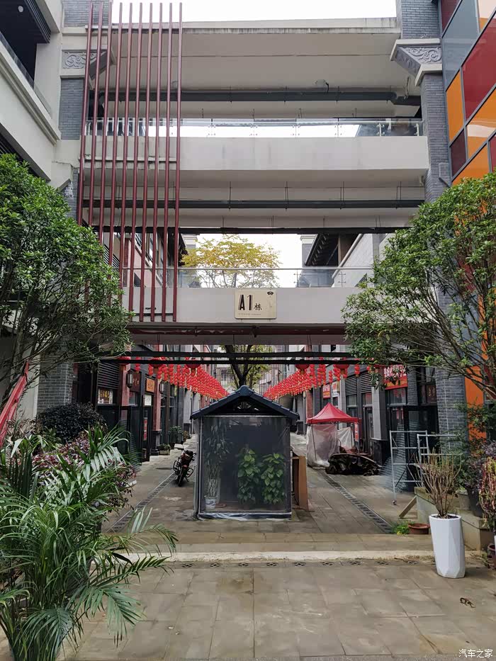 驾驶cs75看新阳明花鸟市场