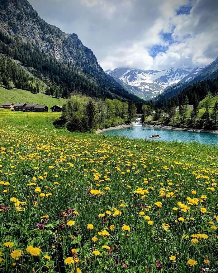 瑞士的夏末山花烂漫山风清凉如此舒服