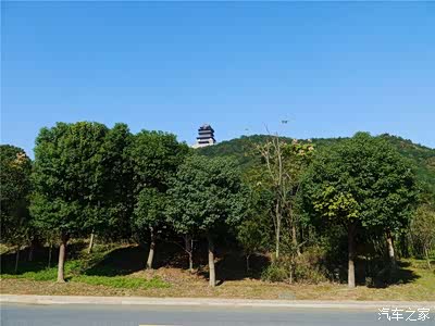 徒步仁皇山之旅