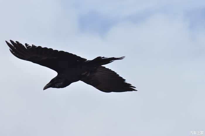 【图】《新名字想好了》征服天堂-2019春节单