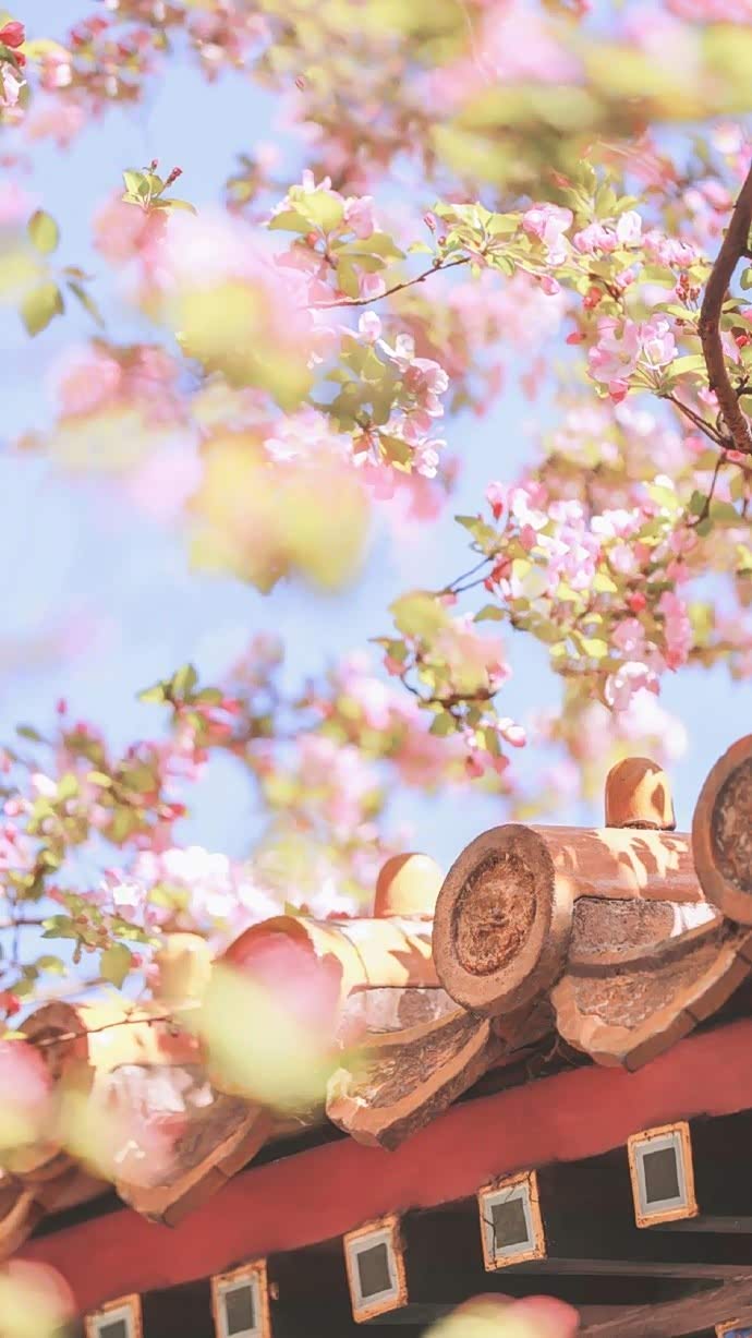 繁花似锦的故宫,让人梦回千年.