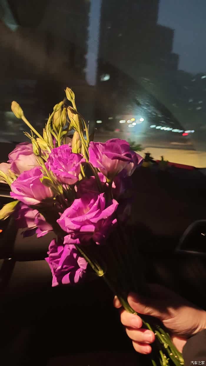 谁的副驾还没有一个小可爱呢美美的鲜花结束一天的疲劳