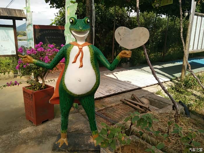 帝豪青蛙乐园周末游