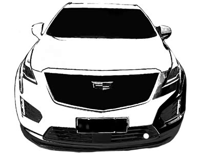 procreate手绘素描凯迪拉克