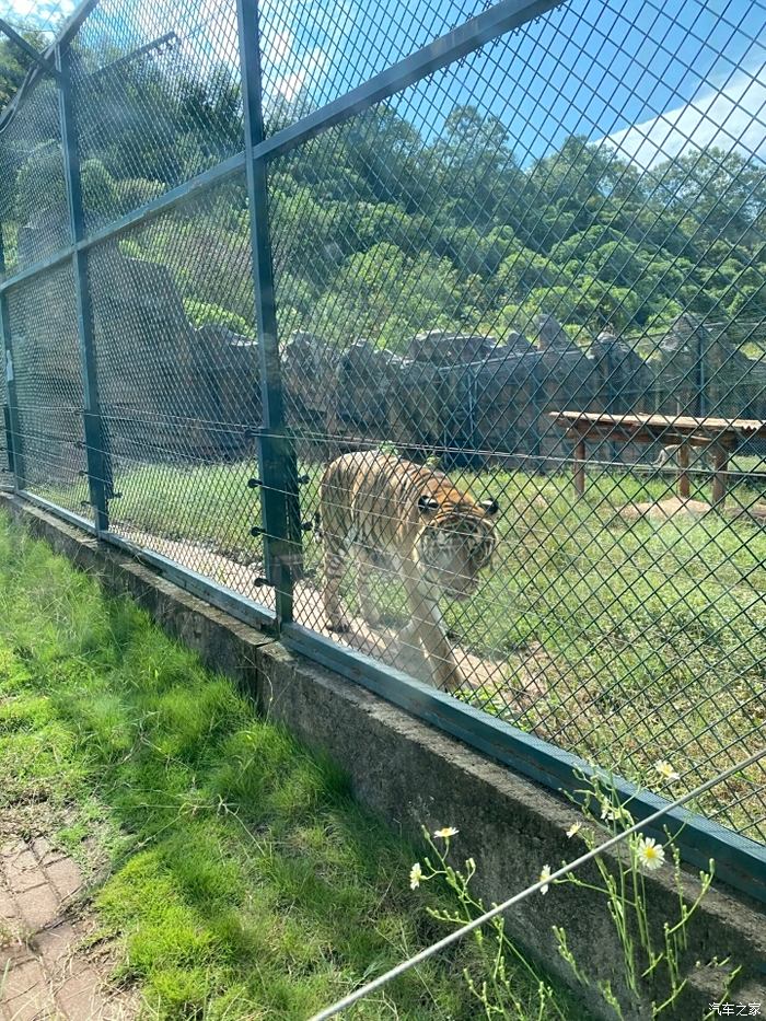 喜迎2022長沙生態動物園