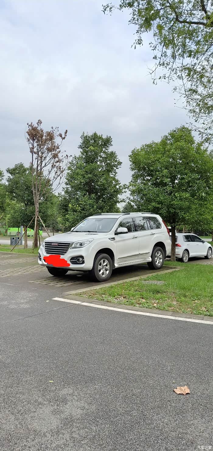 【图】探望熊猫宝宝,熊猫乐园一日游_哈弗h9论坛_汽车之家论坛