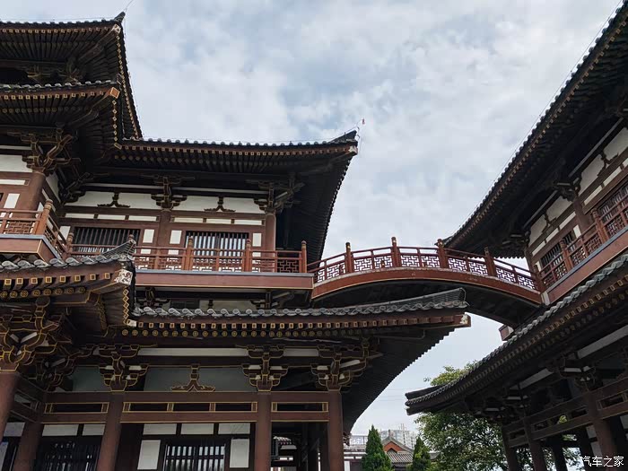 年末福利大反馈青龙寺