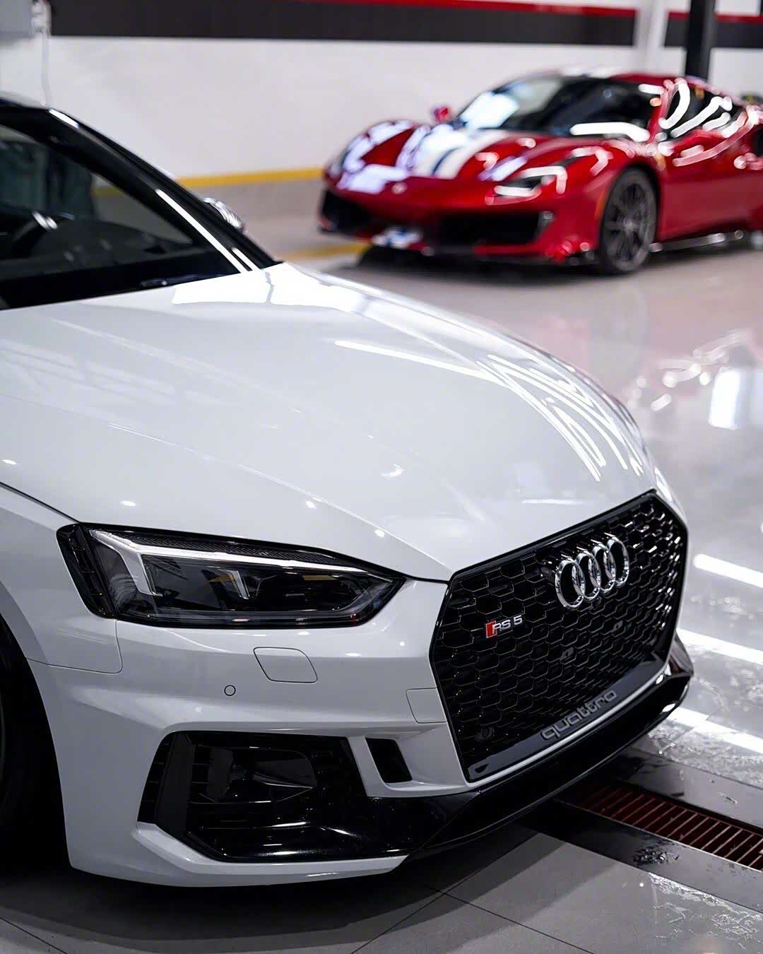 白外白内奥迪rs5你们觉得怎么样