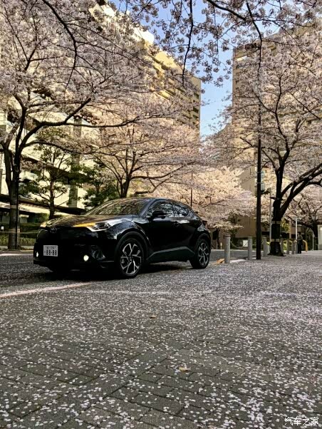 【图】岛国纯正chr黑武士,欣赏!_丰田c-hr论坛_汽车之家论坛