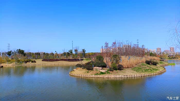 北兴塘河湿地的初春
