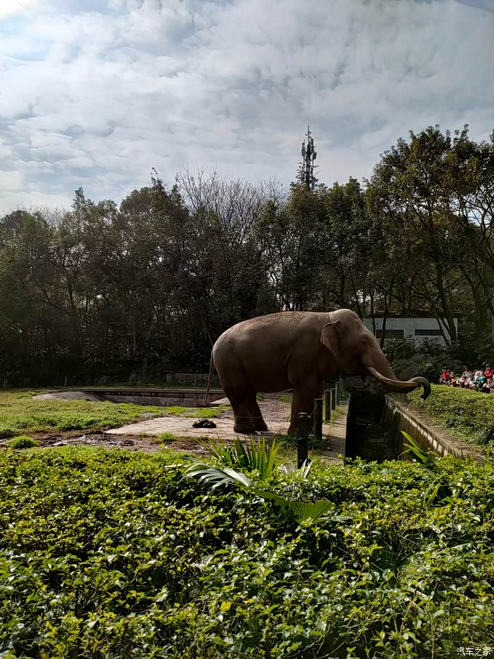 陪孩子杨家坪动物园